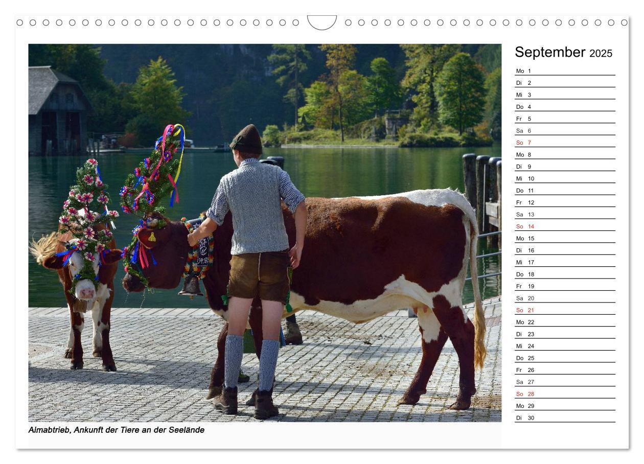 Bild: 9783435538225 | Willkommen am Königssee (Wandkalender 2025 DIN A3 quer), CALVENDO...