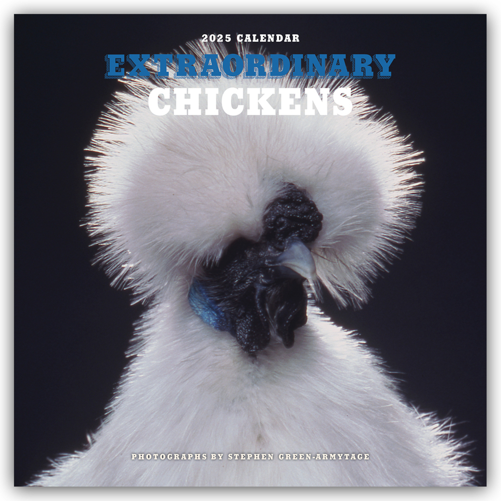 Cover: 9783803530240 | Extraordinary Chickens - Außergewöhnliche Hühner 2025 - Wandkalender