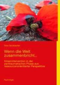 Cover: 9783732232451 | Wenn die Welt zusammenbricht... | Timo Grünbacher | Taschenbuch | 2013