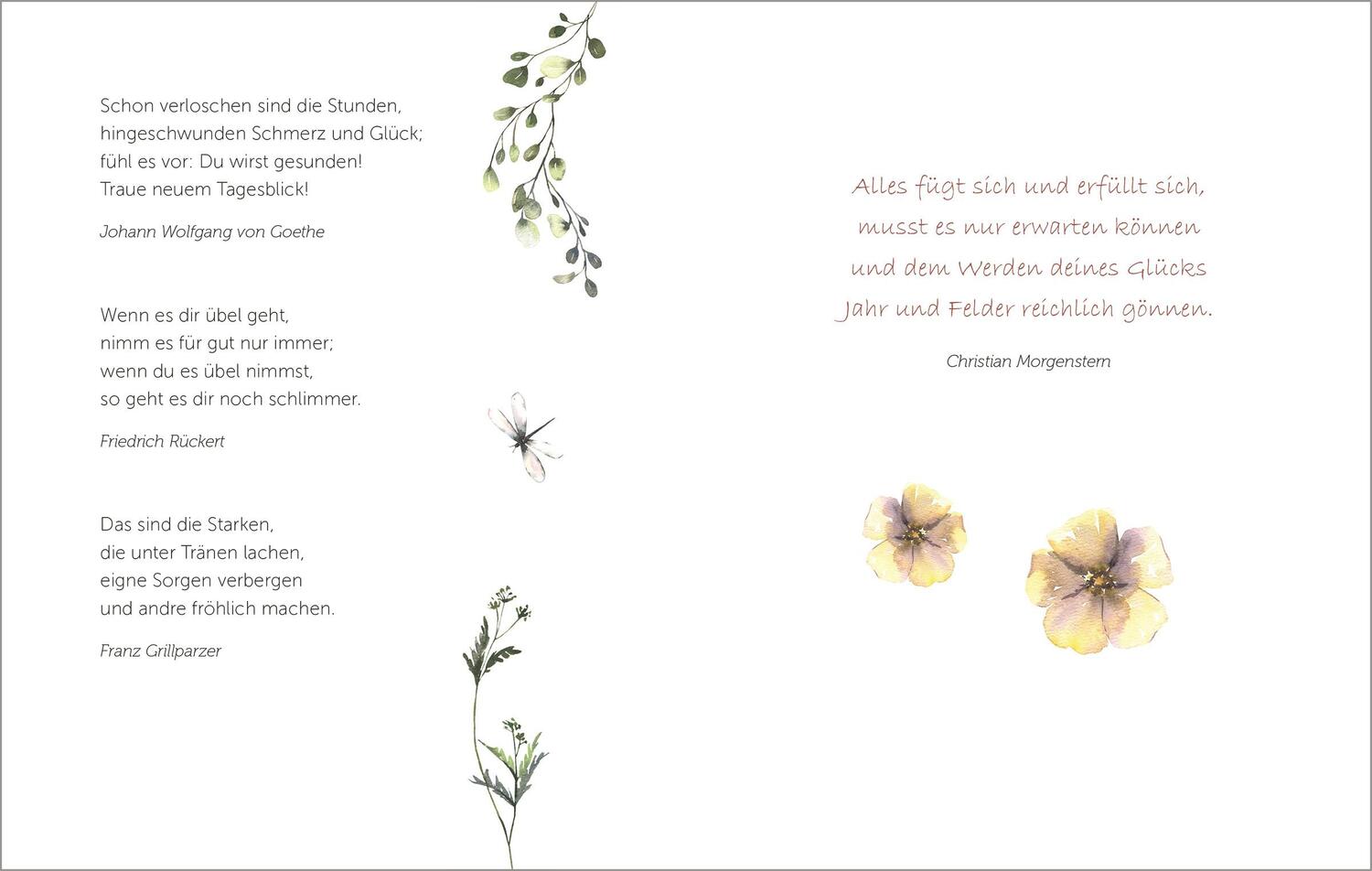 Bild: 9783451033827 | Die schönsten Blumen blühen für die, die sie sehen | Buch | Deutsch