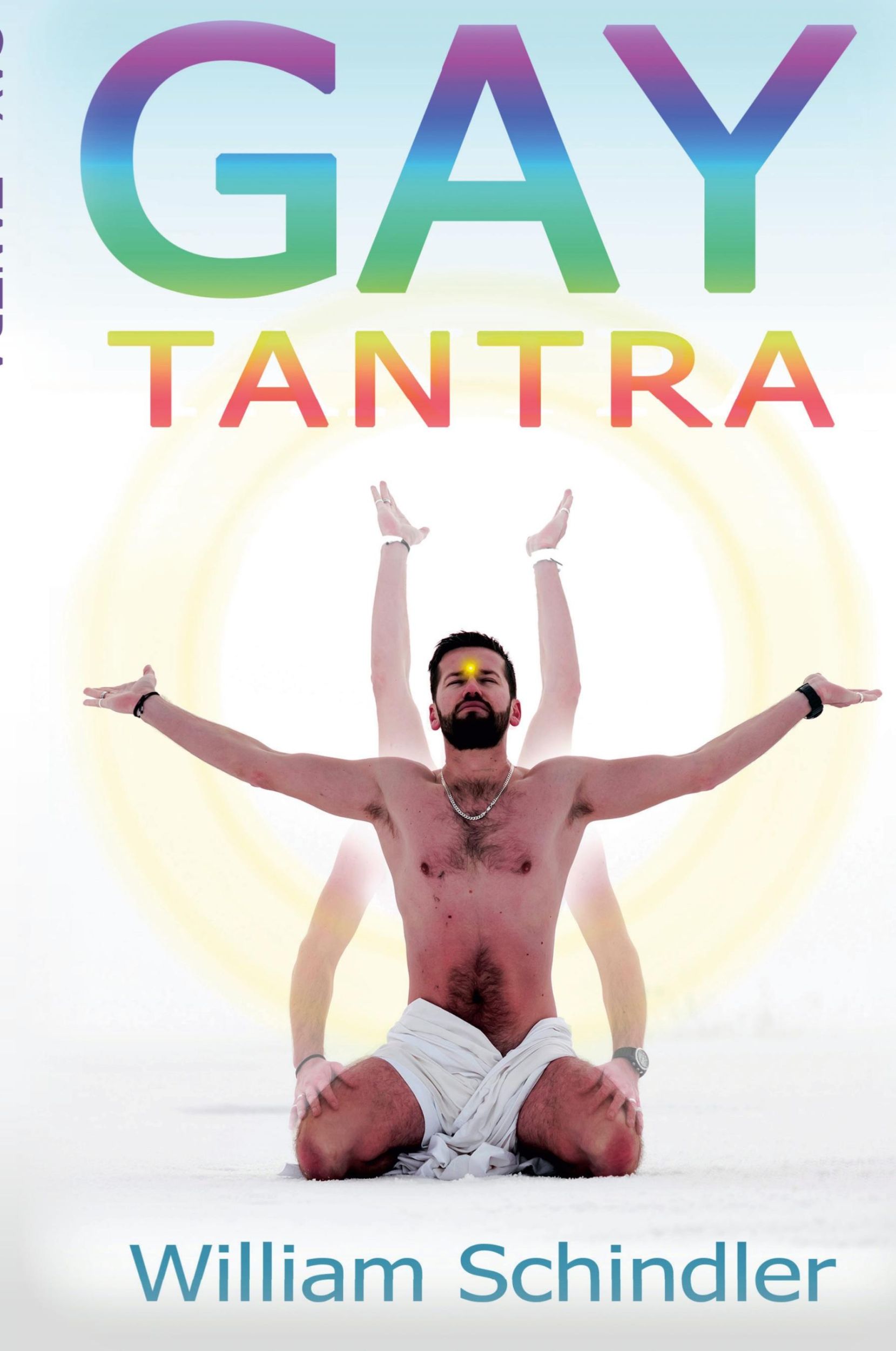 Cover: 9781387031566 | Gay Tantra | William Schindler | Taschenbuch | Englisch | 2017