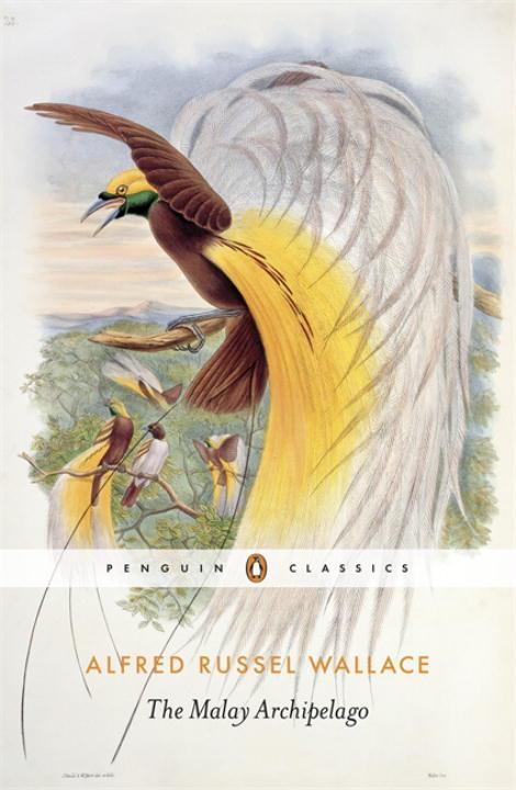 Cover: 9780141394404 | The Malay Archipelago | Alfred Russel Wallace | Taschenbuch | Englisch