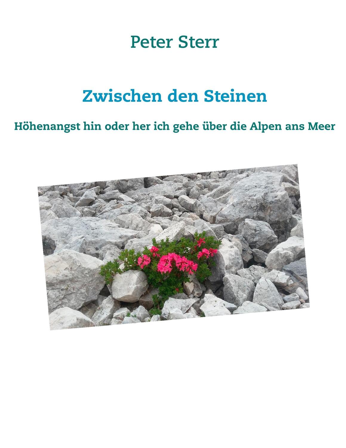 Cover: 9783746098777 | Zwischen den Steinen | Peter Sterr | Taschenbuch | Paperback | 236 S.