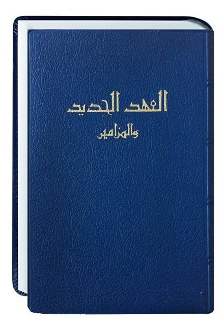 Cover: 9783438082817 | Neues Testament Arabisch | Traditionelle Übersetzung | Taschenbuch
