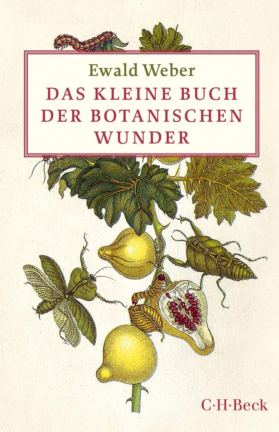 Cover: 9783406696183 | Das kleine Buch der botanischen Wunder | Ewald Weber | Buch | 171 S.
