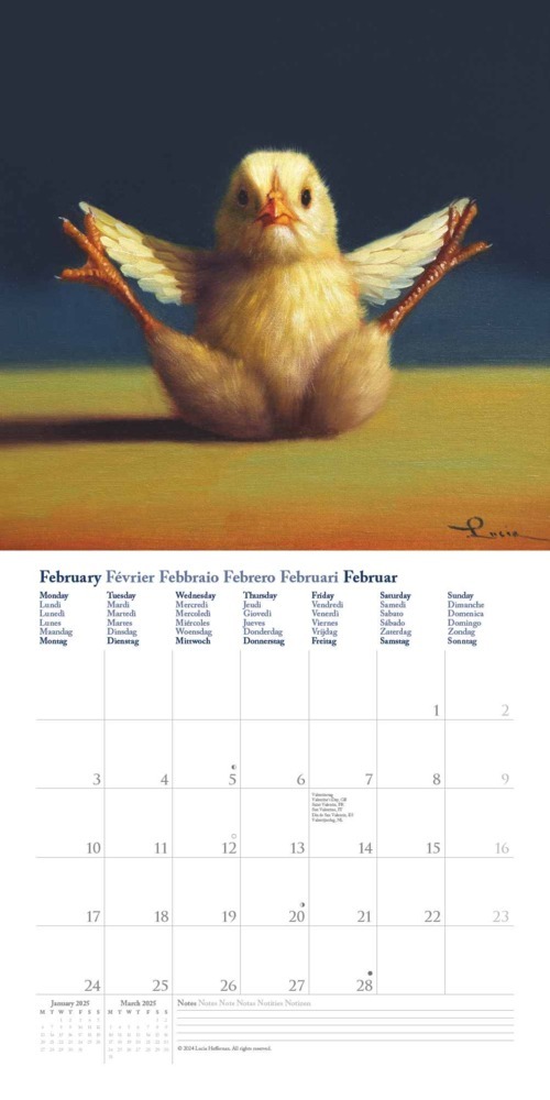 Bild: 4250809653914 | DUMONT - Yoga Chicks: Lucia Heffernan 2025 Broschürenkalender,...