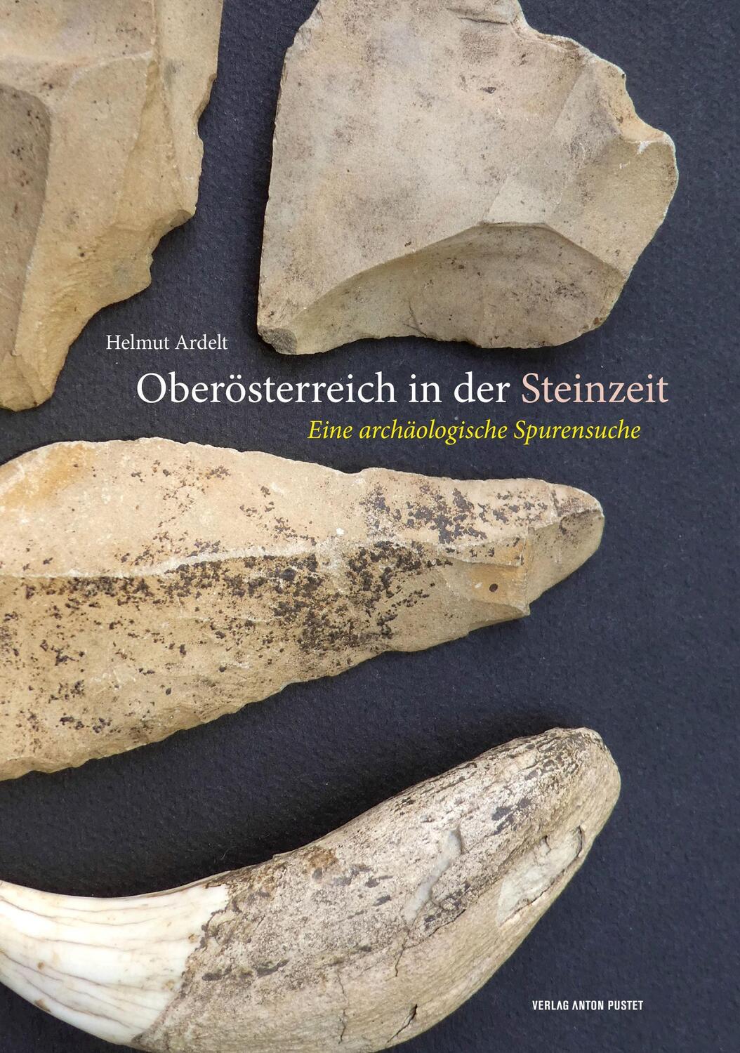 Cover: 9783702510299 | Oberösterreich in der Steinzeit | Eine archäologische Spurensuche