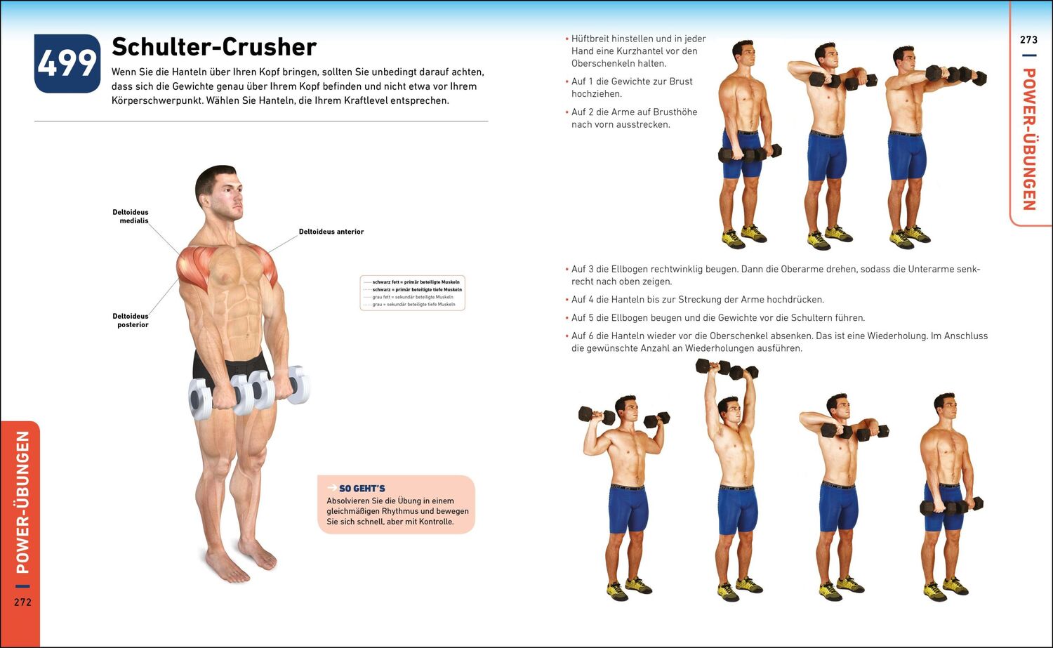 Bild: 9783517096292 | Die H.I.T.-Bibel | 500 hochintensive Übungen für Ihr Power-Workout