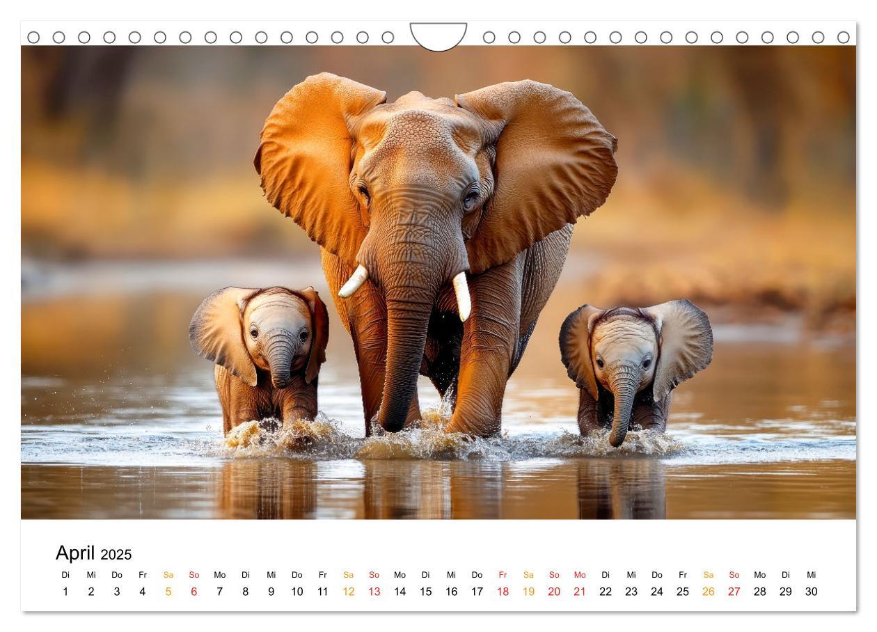 Bild: 9783457240465 | Elefanten - Riesen der Wildnis (Wandkalender 2025 DIN A4 quer),...