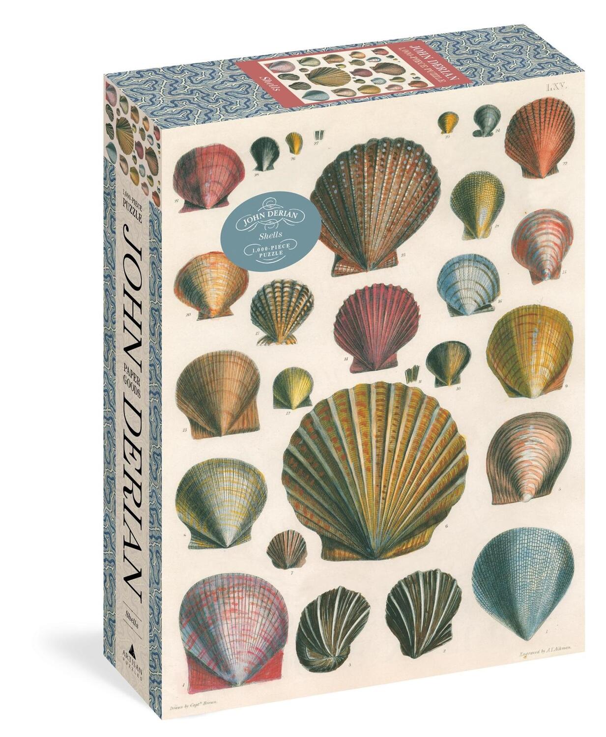 Cover: 9781648291777 | John Derian Paper Goods: Shells 1,000-Piece Puzzle | John Derian