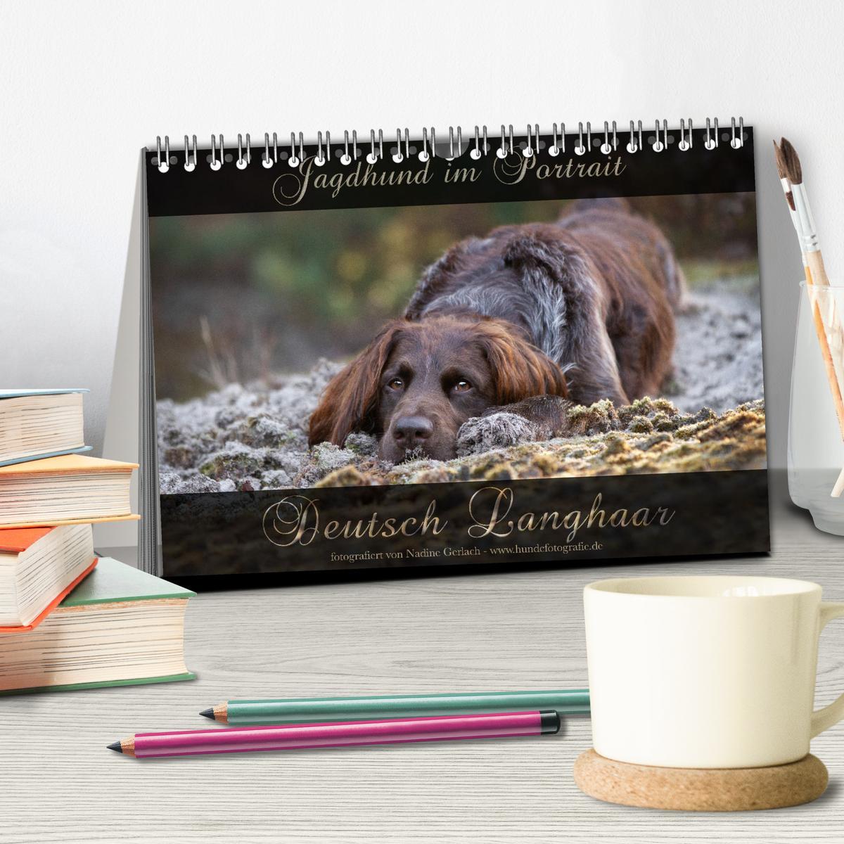 Bild: 9783383839528 | Jagdhund im Portrait - Deutsch Langhaar (Tischkalender 2025 DIN A5...