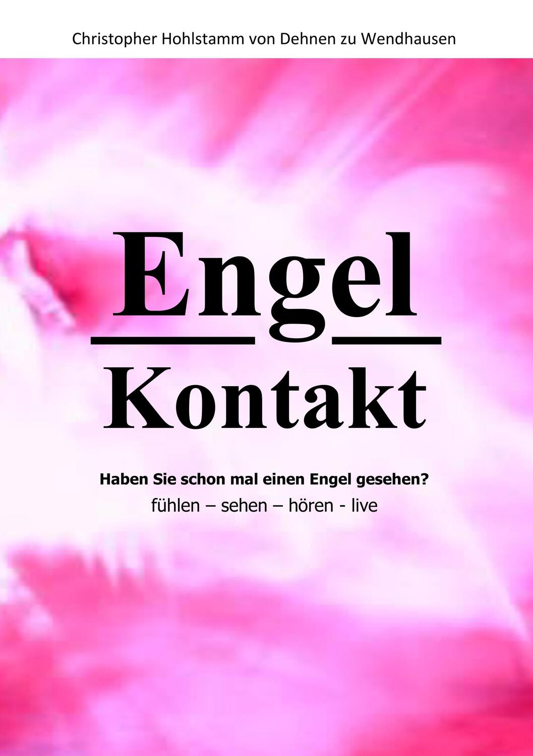 Cover: 9783750410350 | Engel Kontakt - Haben Sie schon mal einen Engel gesehen | Wendhausen
