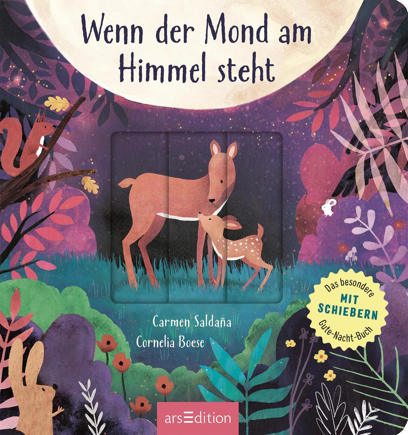 Bild: 9783845851174 | Wenn der Mond am Himmel steht | Cornelia Boese | Buch | 14 S. | 2022