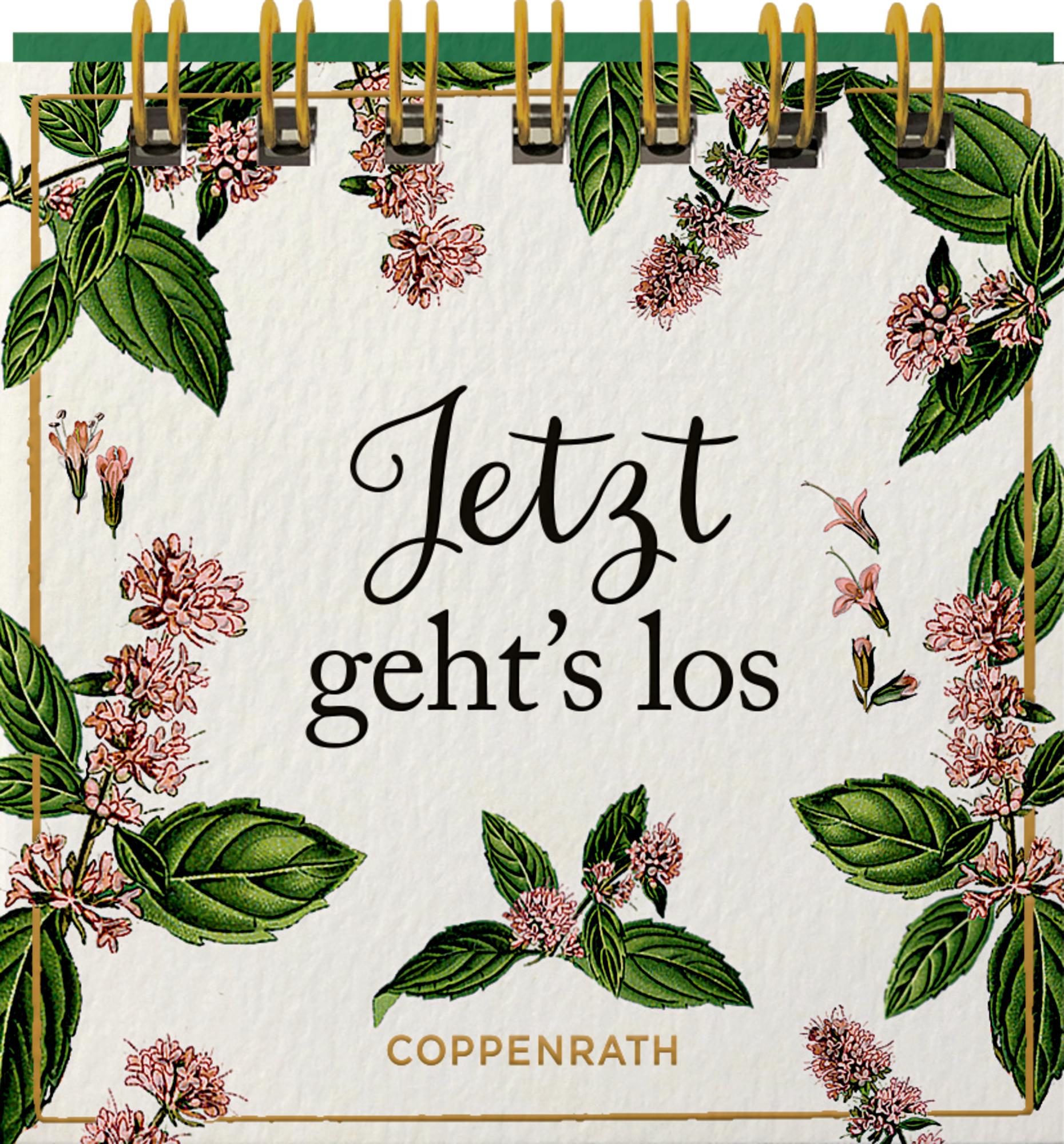 Bild: 9783649648338 | Jetzt geht's los | Taschenbuch | 24 S. | Deutsch | 2024 | Coppenrath