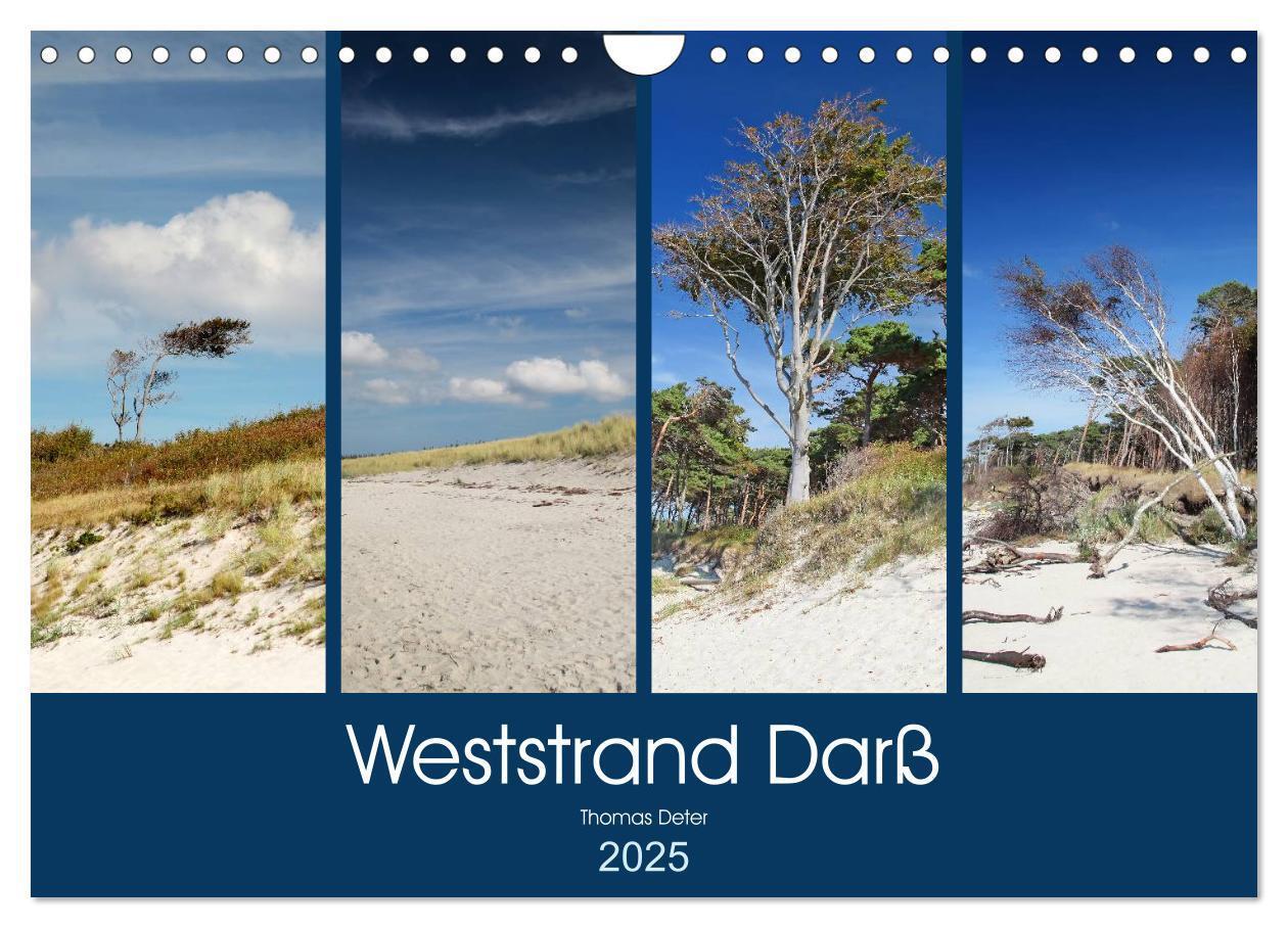Cover: 9783435782390 | Weststrand Darß (Wandkalender 2025 DIN A4 quer), CALVENDO...