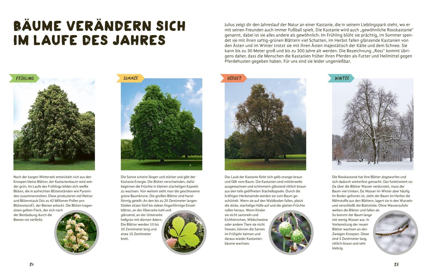 Bild: 9783982153018 | Julius forscht - Im Wald | Forschen, entdecken, basteln | König | Buch