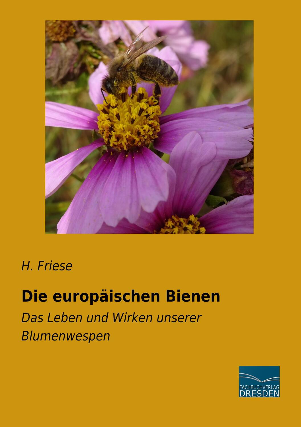 Cover: 9783961691661 | Die europäischen Bienen | Das Leben und Wirken unserer Blumenwespen