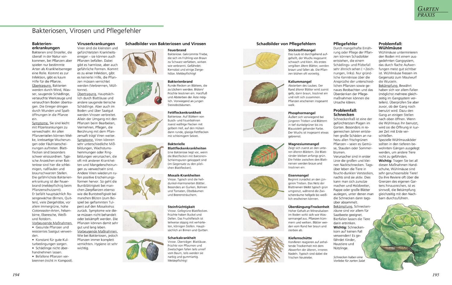 Bild: 9783833853920 | Das große GU Gartenbuch | Das Standardwerk für jeden Gartenliebhaber