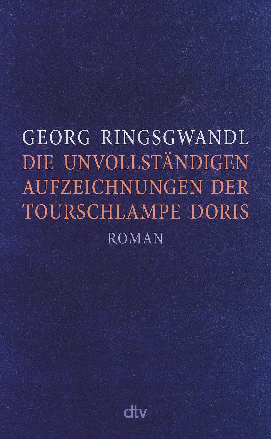 Cover: 9783423282871 | Die unvollständigen Aufzeichnungen der Tourschlampe Doris | Buch