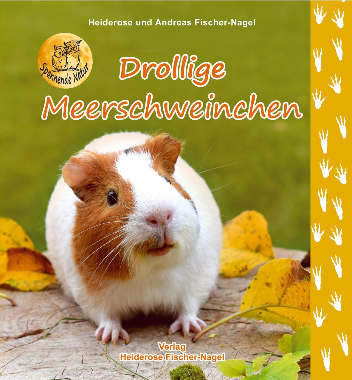 Cover: 9783930038893 | Drollige Meerschweinchen | Heiderose Fischer-Nagel (u. a.) | Buch