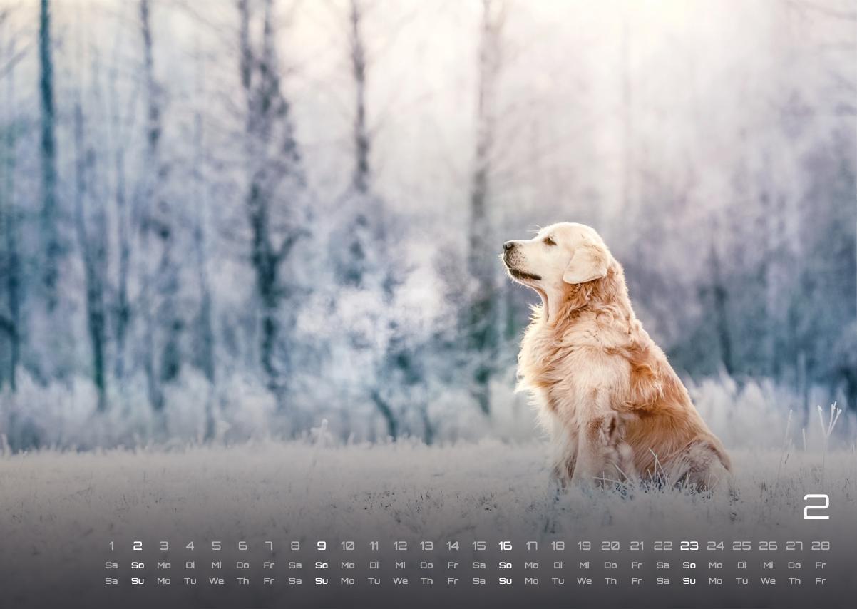 Bild: 9783986733919 | Wuff - Unsere Vierbeiner - Der Hundekalender- 2025 - Kalender DIN A3