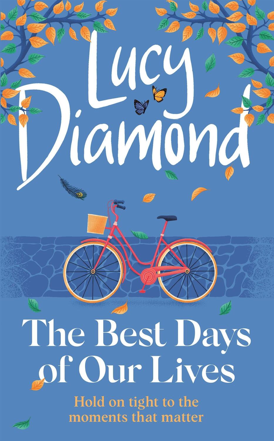 Cover: 9781529420388 | The Best Days of Our Lives | Lucy Diamond | Buch | Gebunden | Englisch