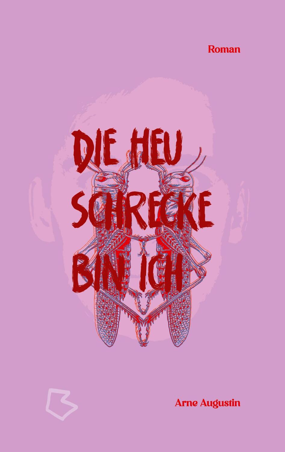 Cover: 9783758329227 | Die Heuschrecke bin ich | Arne Augustin | Taschenbuch | Paperback