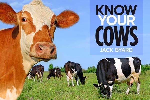 Cover: 9781912158461 | Know Your Cows | Jack Byard | Taschenbuch | Kartoniert / Broschiert