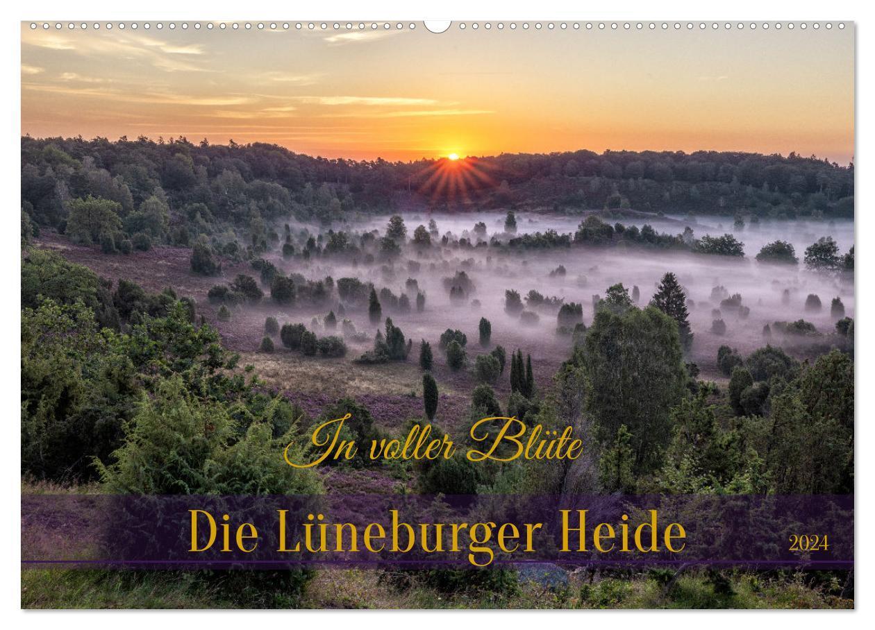 Cover: 9783383730092 | Die Lüneburger Heide - In voller Blüte (Wandkalender 2024 DIN A2...