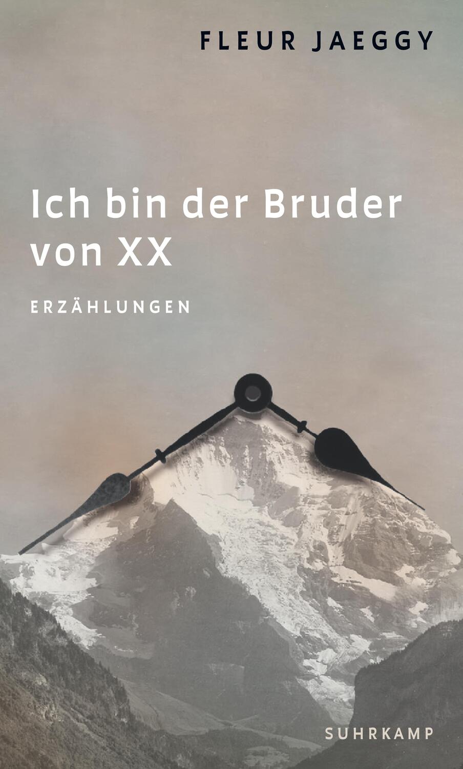 Cover: 9783518431665 | Ich bin der Bruder von XX | Fleur Jaeggy | Buch | 114 S. | Deutsch