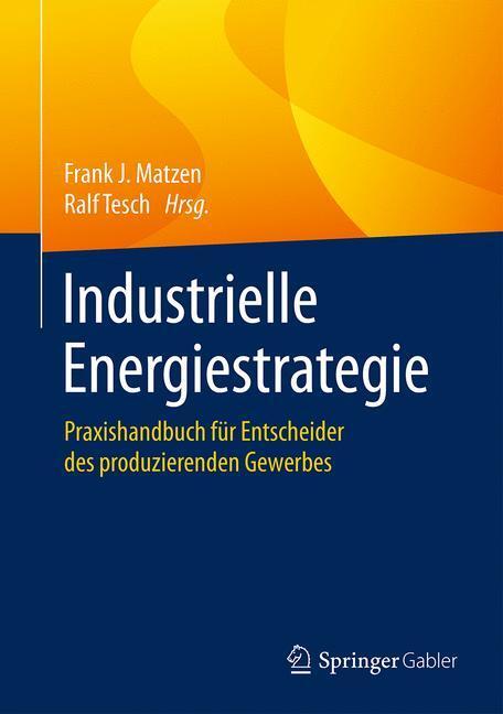 Cover: 9783658076054 | Industrielle Energiestrategie | Ralf Tesch (u. a.) | Buch | XX | 2016