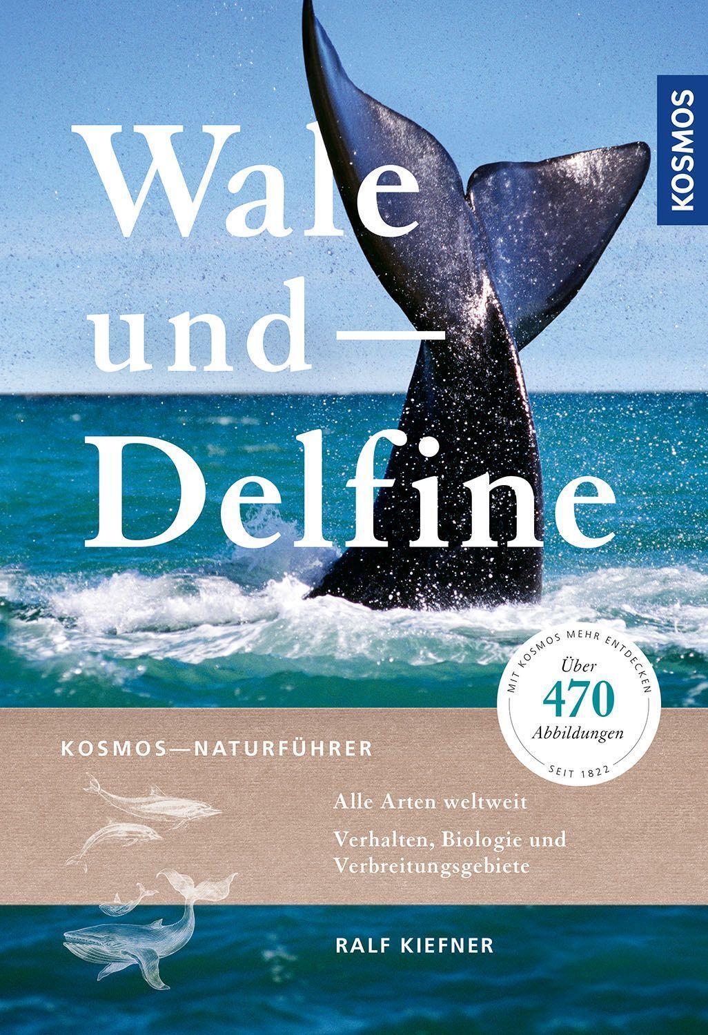 Cover: 9783440163399 | Wale und Delfine | Ralf Kiefner | Taschenbuch | 336 S. | Deutsch