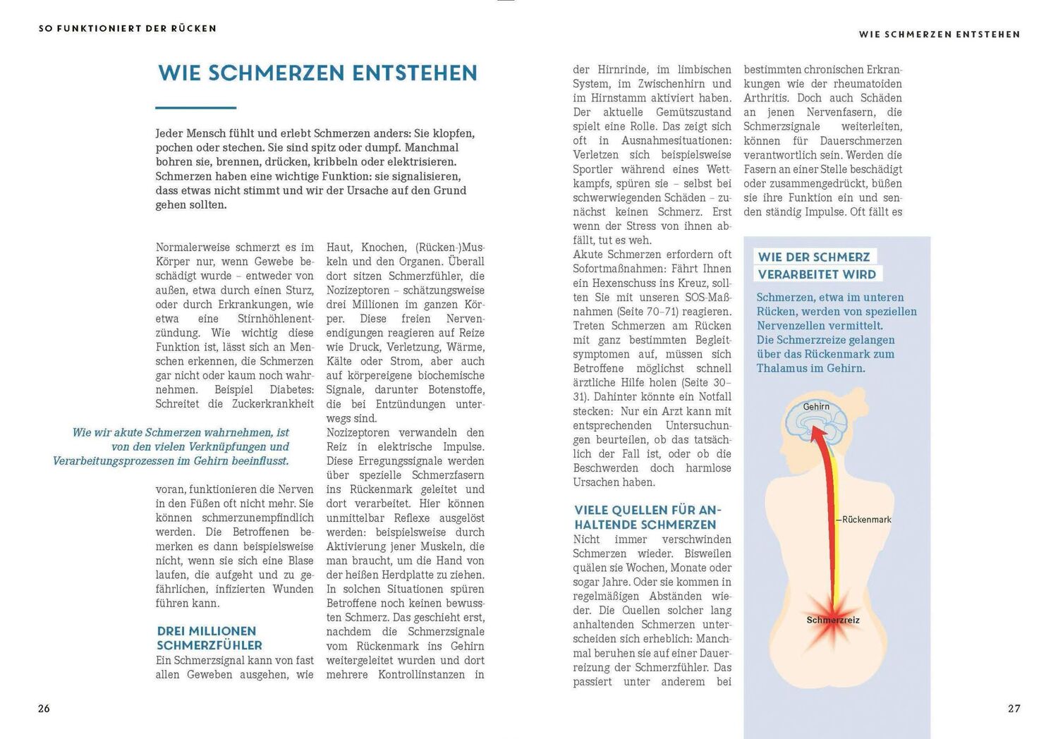 Bild: 9783927216679 | Apotheken Umschau: Der stressfreie Rücken | Wort &amp; Bild Verlag | Buch