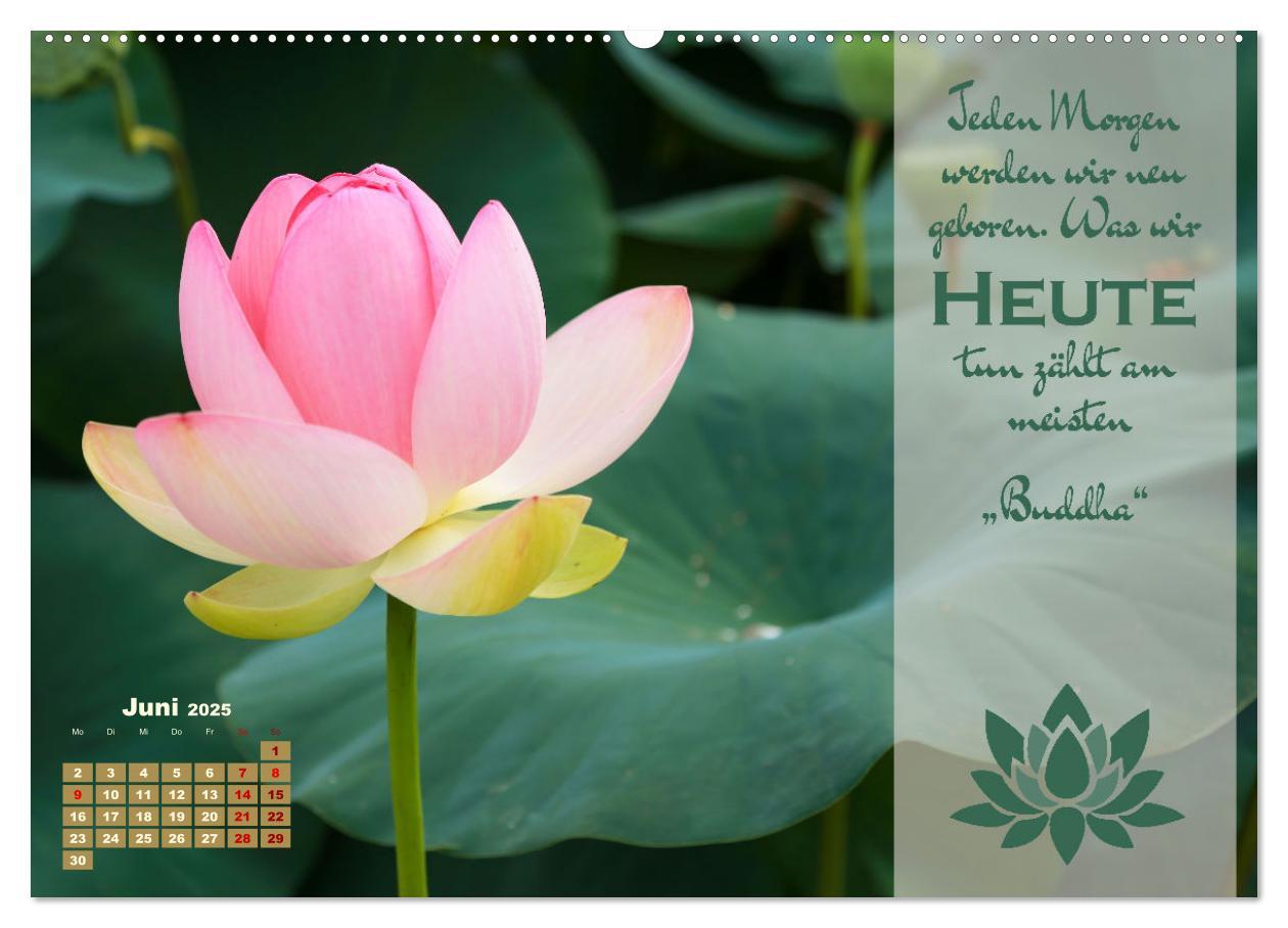 Bild: 9783383932816 | Erleuchtende Worte, Lebensweisheiten von Gautama Buddha by VogtArt...