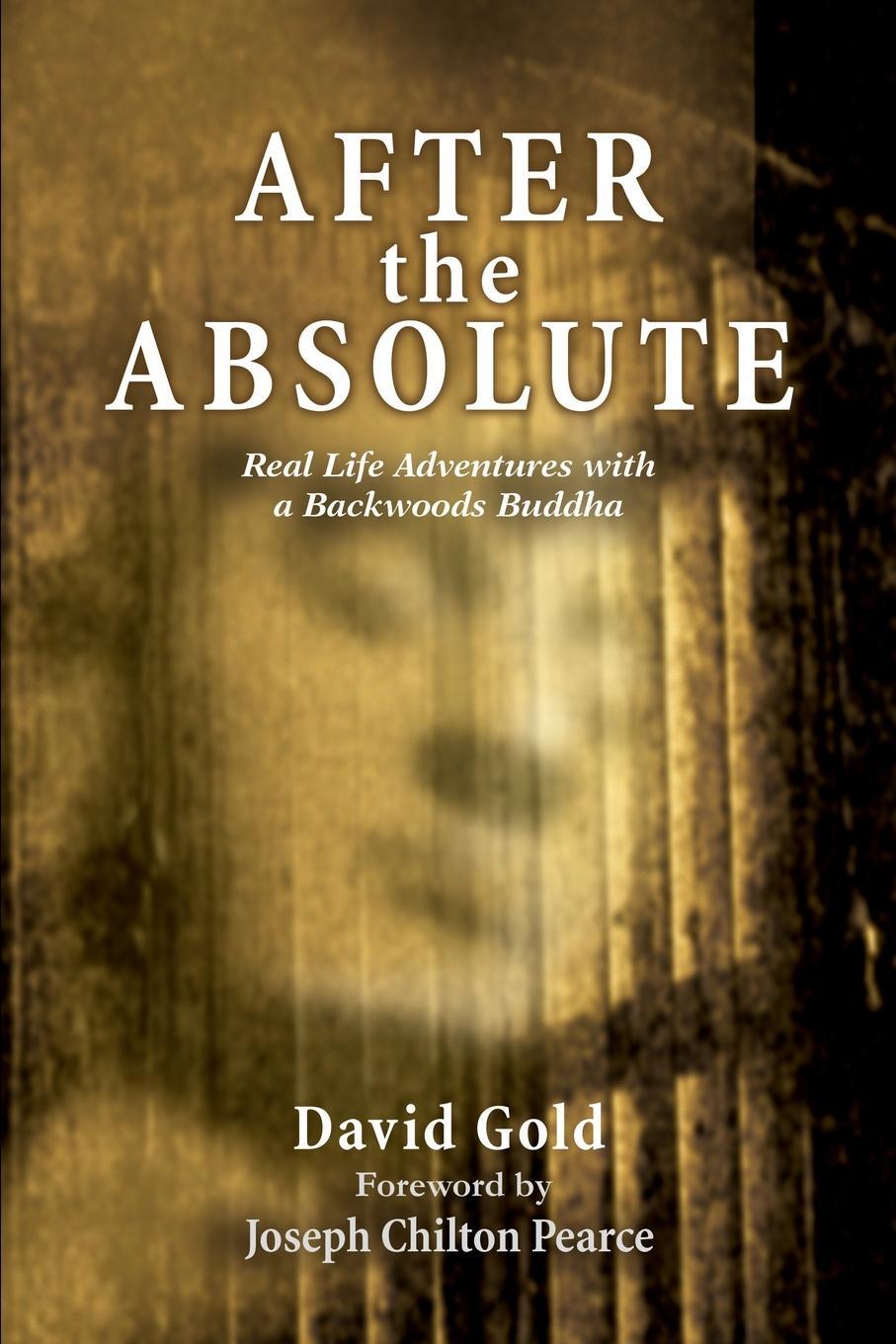 Cover: 9780595239948 | After the Absolute | Real Life Adventures With A Backwoods Buddha