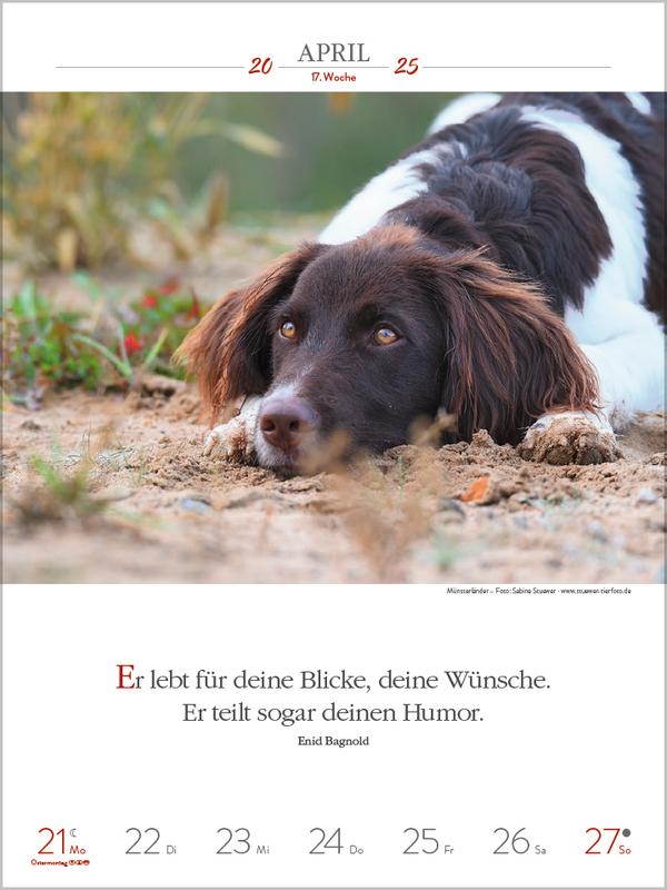 Bild: 9783731877271 | Literaturkalender Hunde 2025 | Verlag Korsch | Kalender | 54 S. | 2025