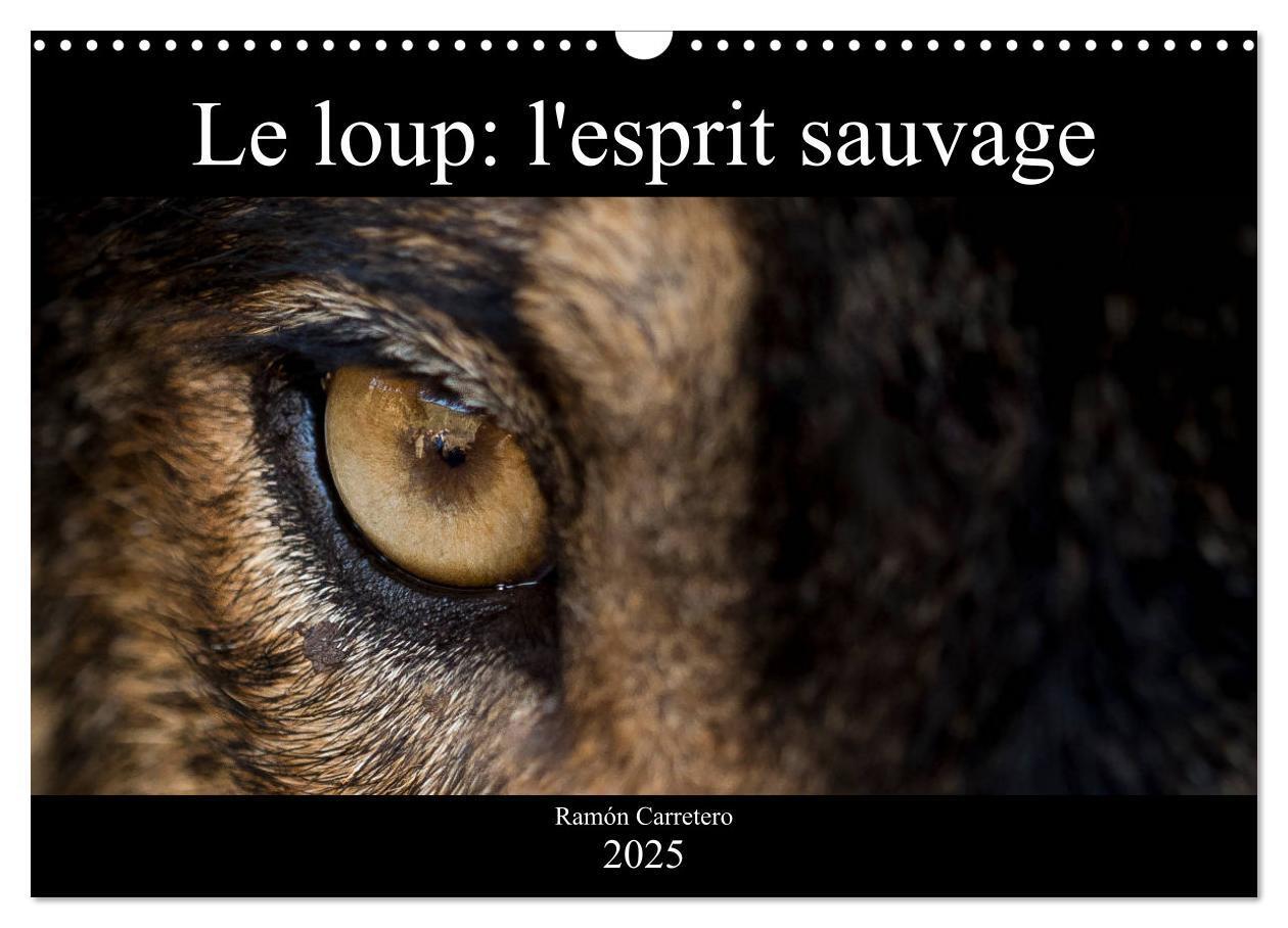 Cover: 9781325945603 | Le loup: l'esprit sauvage (Calendrier mural 2025 DIN A3 vertical),...