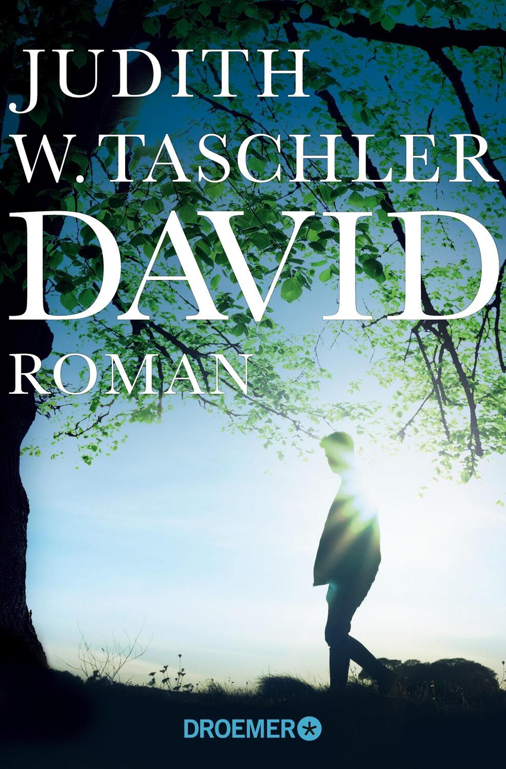 Cover: 9783426304808 | David | Roman | Judith W. Taschler | Taschenbuch | 238 S. | Deutsch