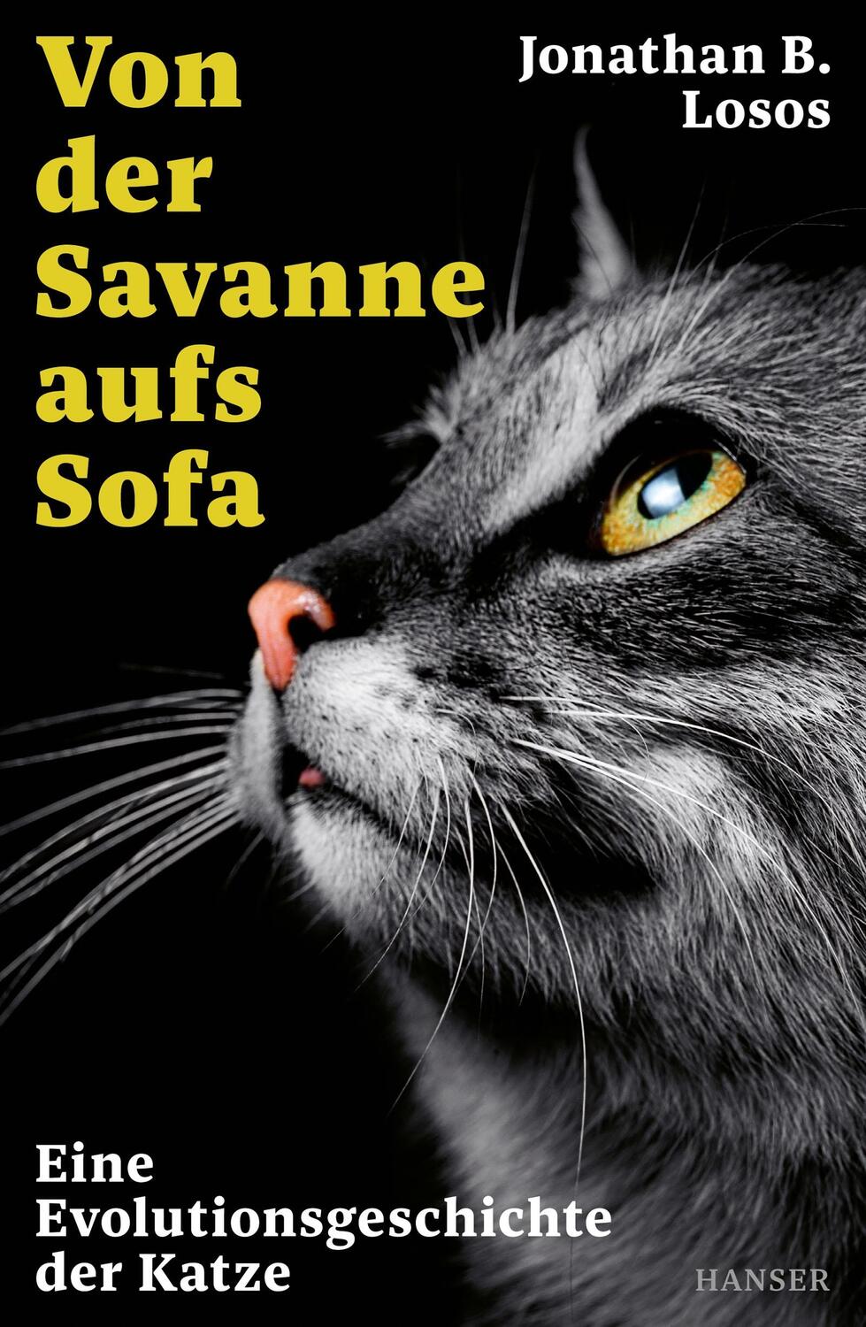 Cover: 9783446277632 | Von der Savanne aufs Sofa | Eine Evolutionsgeschichte der Katze | Buch