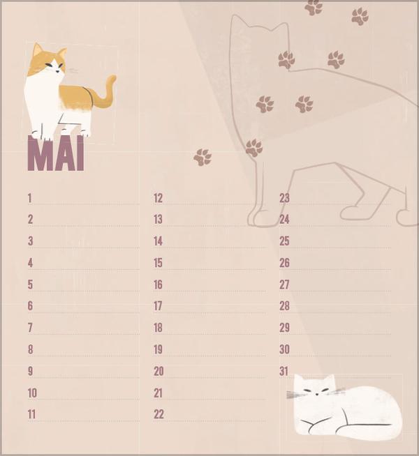 Bild: 9783731880509 | Geburtstagskalender Cats | Verlag Korsch | Kalender | 13 S. | Deutsch