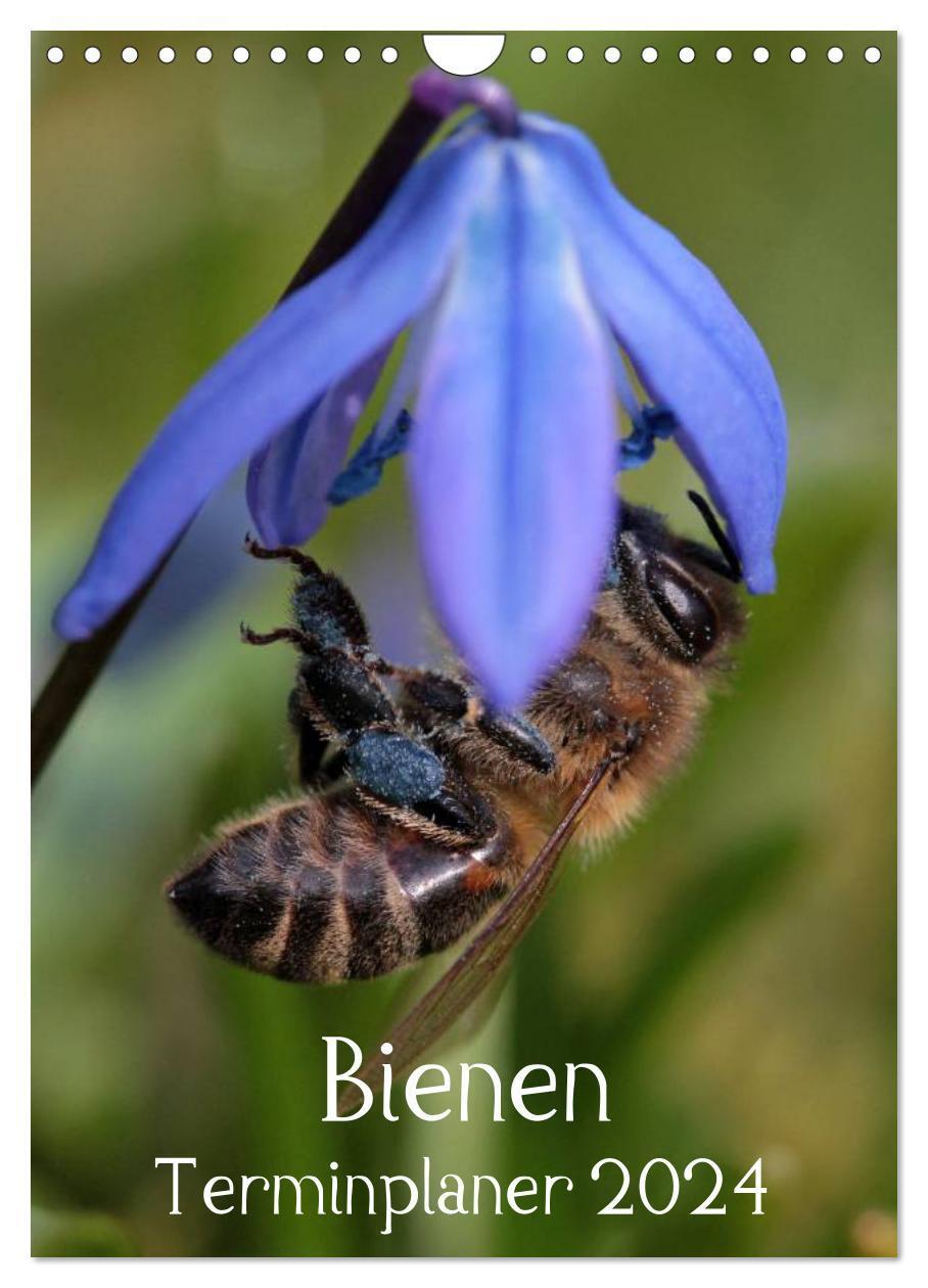 Cover: 9783383355721 | Bienen-Terminplaner 2024 (Wandkalender 2024 DIN A4 hoch), CALVENDO...