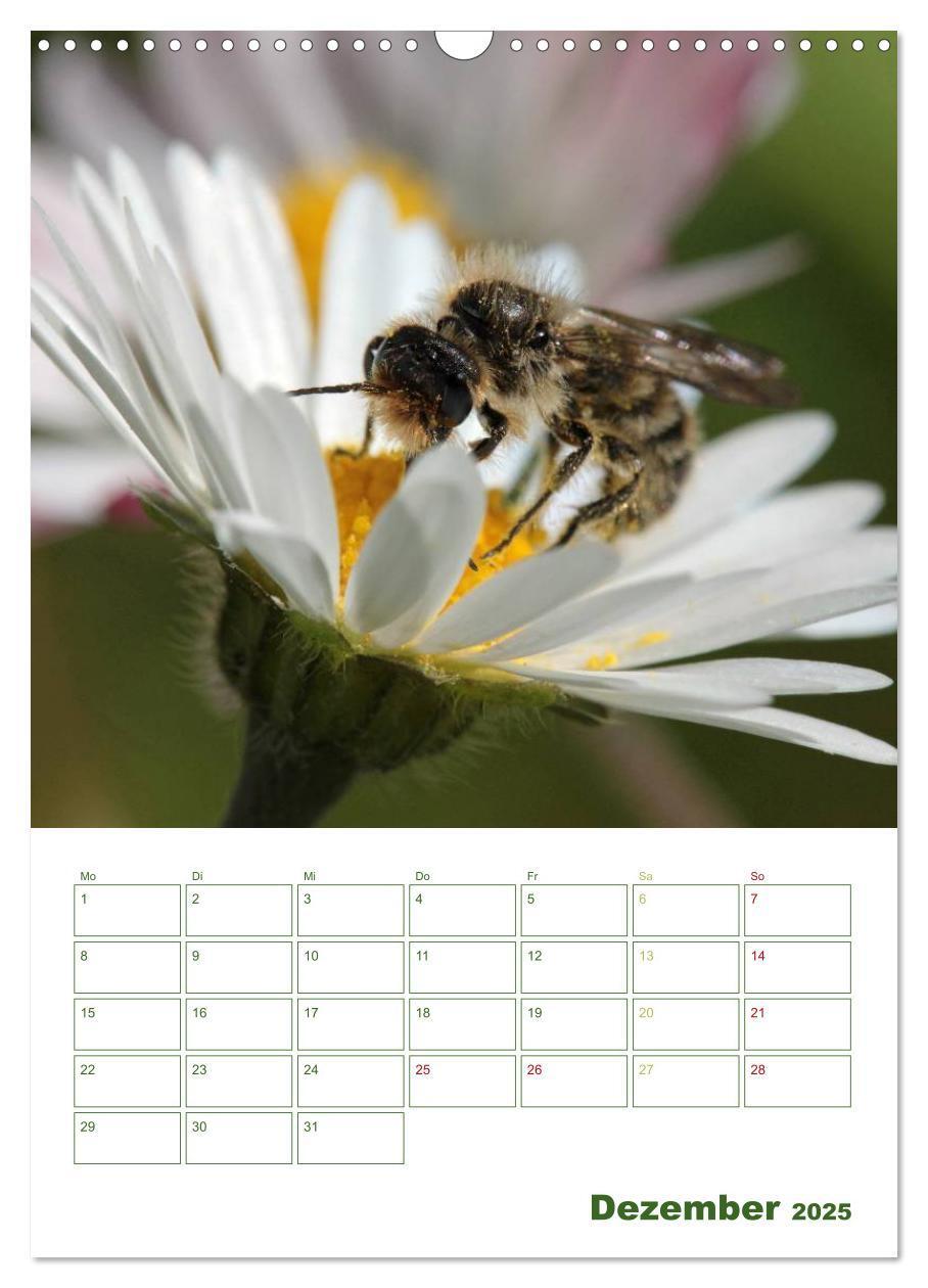 Bild: 9783457030493 | Bienen-Terminplaner 2025 (Wandkalender 2025 DIN A3 hoch), CALVENDO...