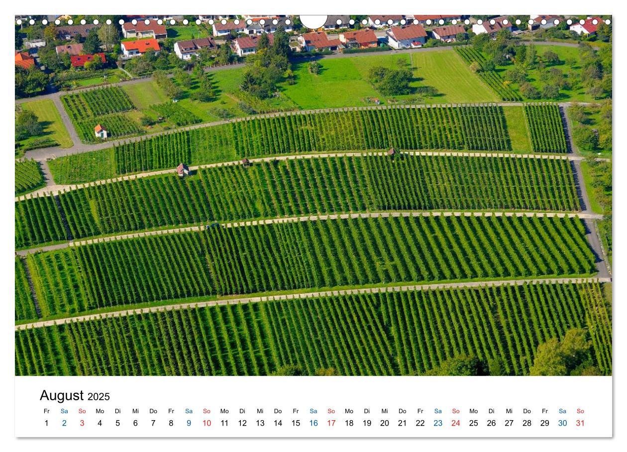 Bild: 9783435804795 | Württemberger Wein 2025 (Wandkalender 2025 DIN A3 quer), CALVENDO...