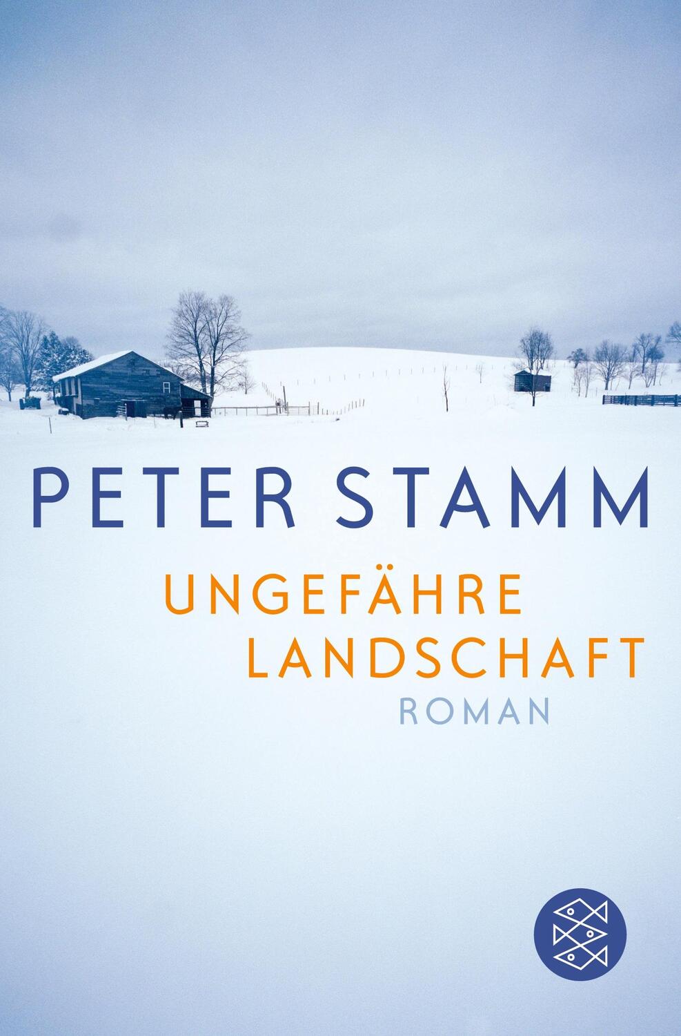 Cover: 9783596188246 | Ungefähre Landschaft | Roman | Peter Stamm | Taschenbuch | Paperback