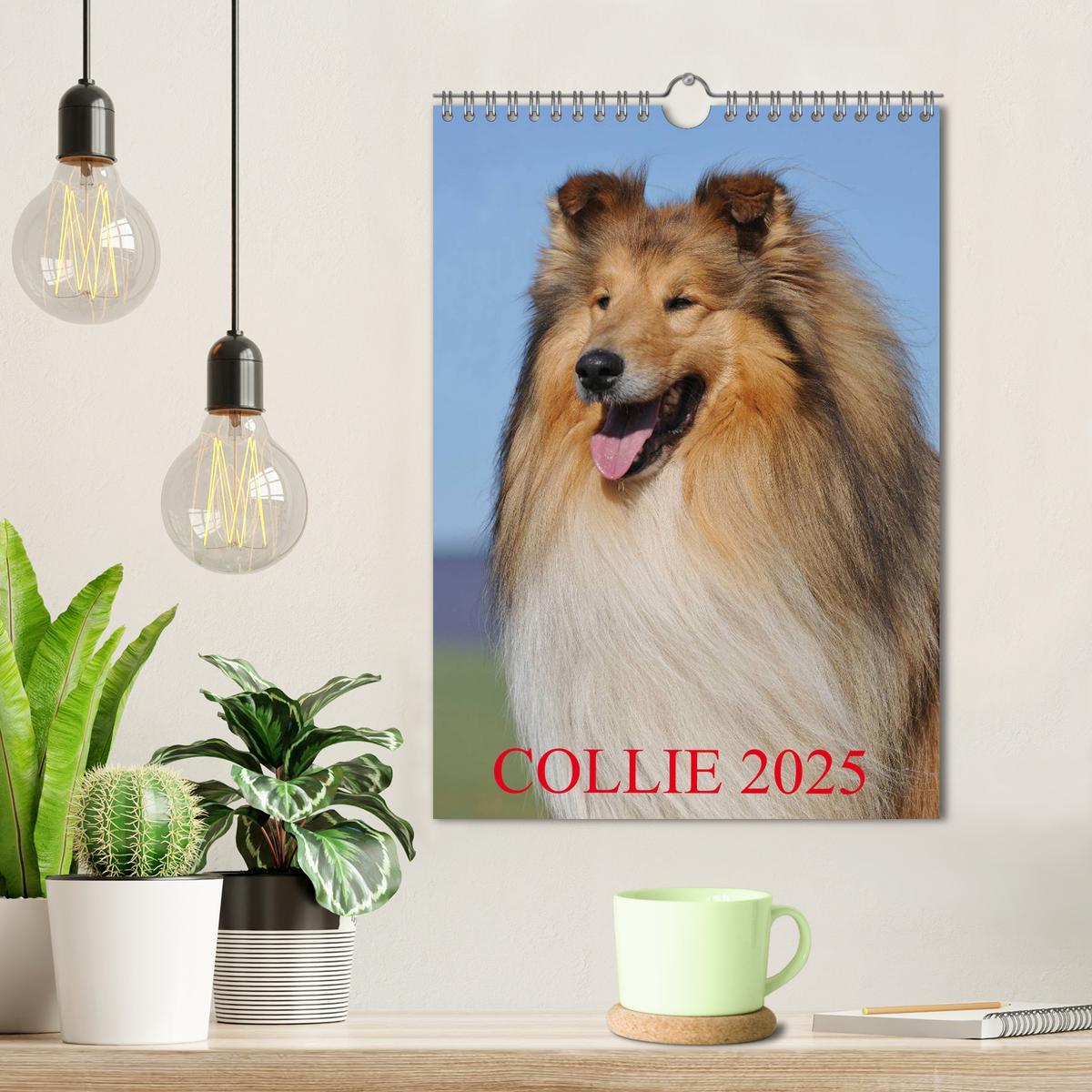 Bild: 9783457072899 | Collie 2025 (Wandkalender 2025 DIN A4 hoch), CALVENDO Monatskalender