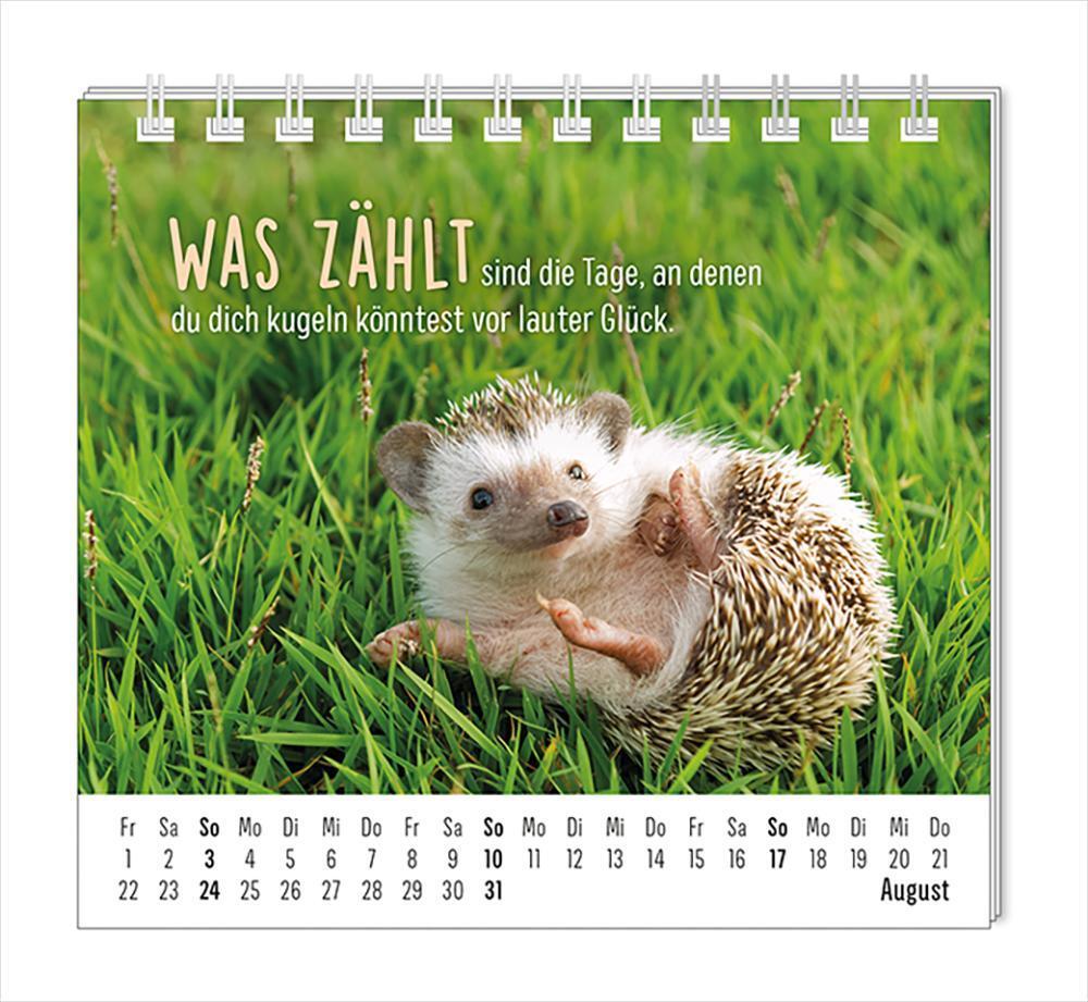 Bild: 9783986361099 | Mini-Kalender 2025 Happymacher | Mini-Kalender | Original | Kalender
