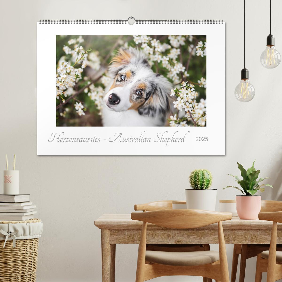 Bild: 9783435180615 | Herzensaussies - Australian Shepherd (Wandkalender 2025 DIN A2...