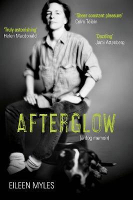 Cover: 9781611855098 | Afterglow | A Dog Memoir | Eileen Myles | Taschenbuch | Englisch