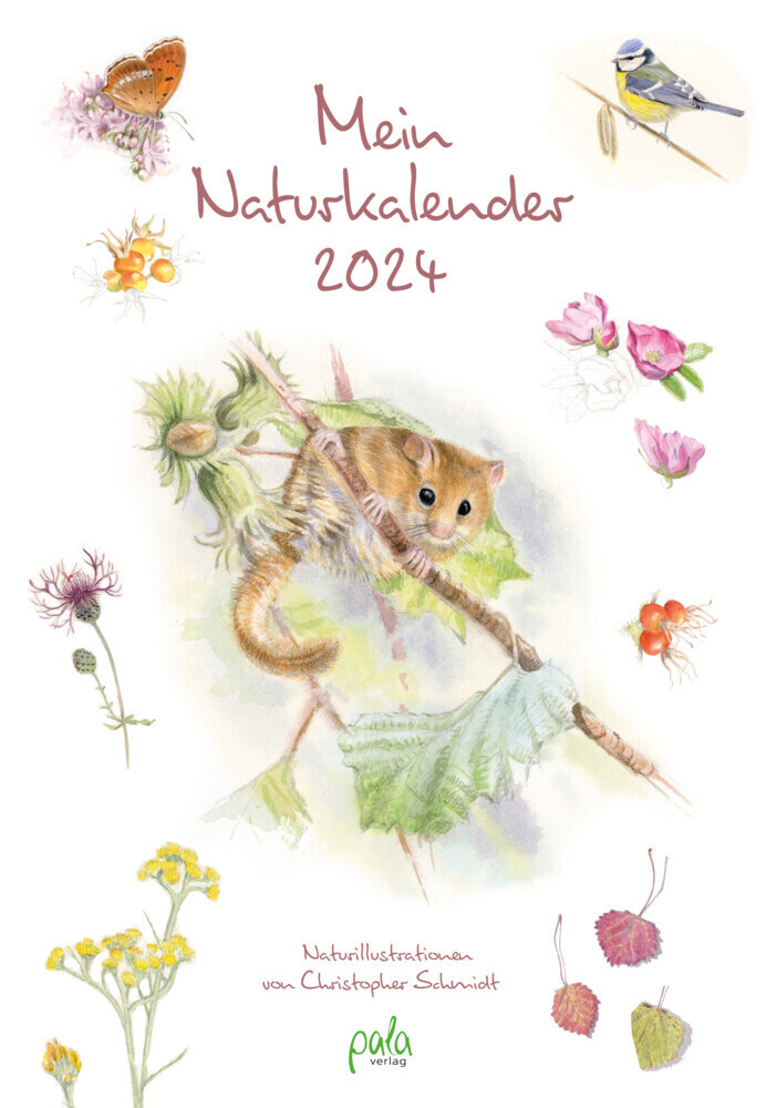 Cover: 9783895664304 | Mein Naturkalender 2024 | Naturillustrationen von Christopher Schmidt