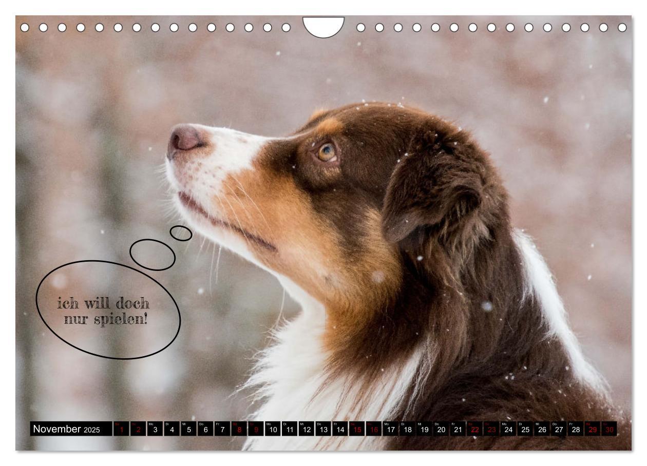 Bild: 9783383978517 | Hundeportraits, Hunde sind unsere besten Freunde by VogtArt...